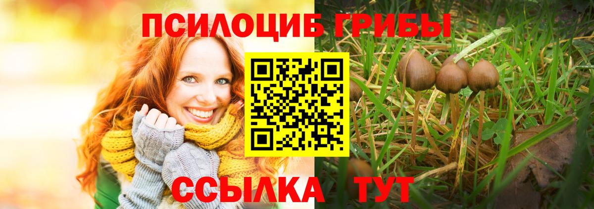Псилоцибиновые грибы Magic Shrooms Бугуруслан