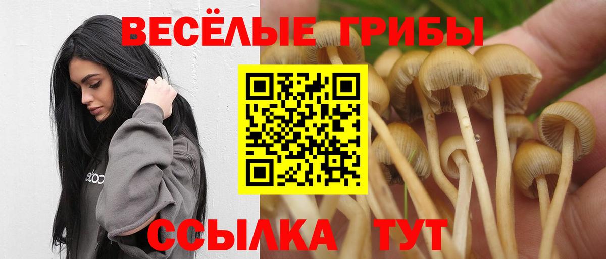 Галлюциногенные грибы Psilocybine cubensis  Галлюциногенные грибы ЛСД  Вход с VPN  Бугуруслан 